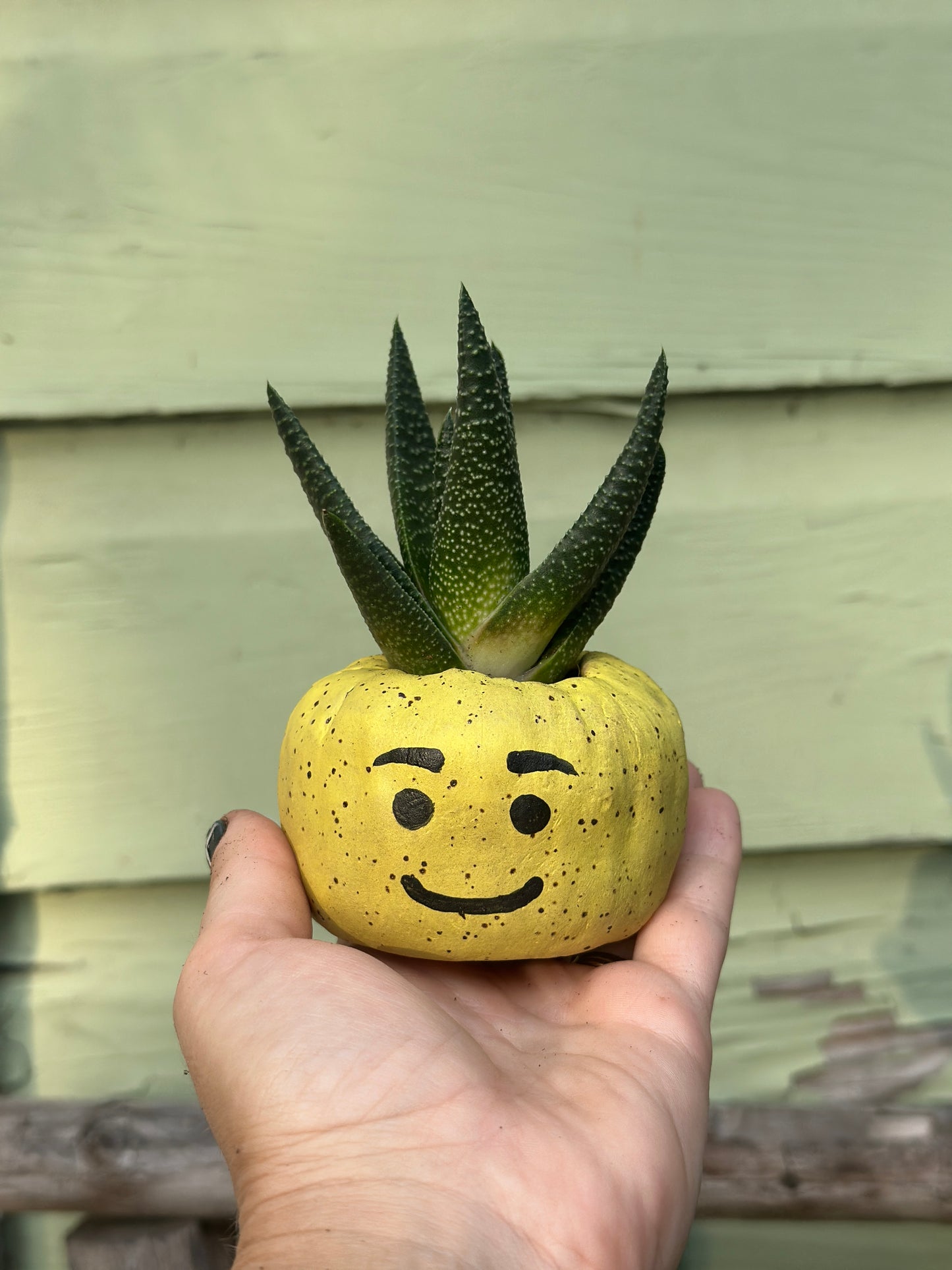 Lego Head Planter | Sat. 4/4 | 2-4p