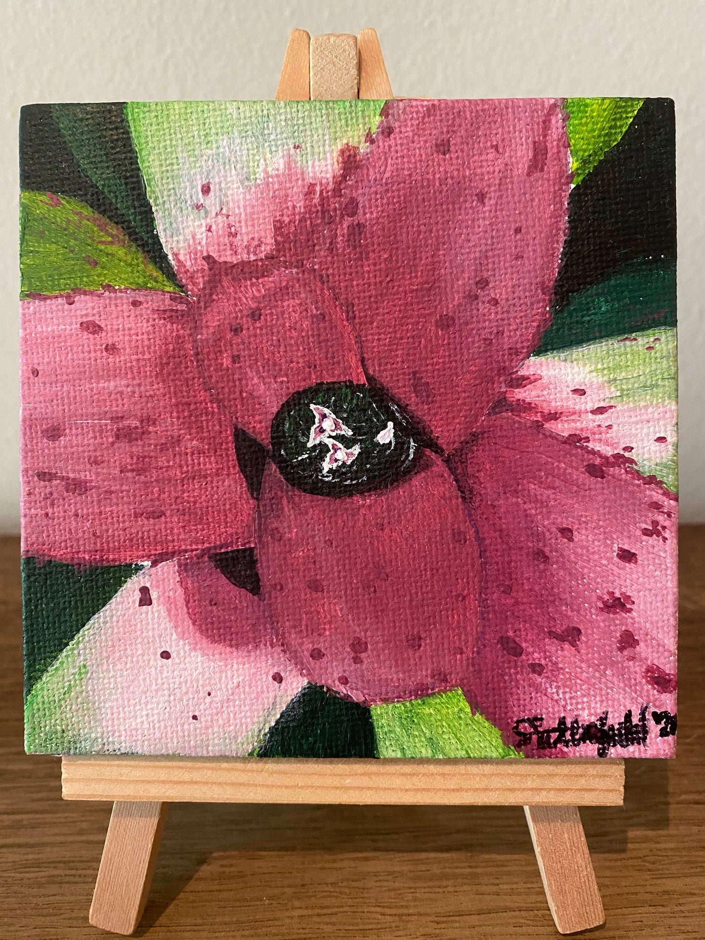 Mini Neoregelia Donna