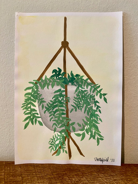 Hanging Plant